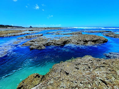 奄美大島の台風シーズンはいつ?過去の被害や観光するときの注意点も解説