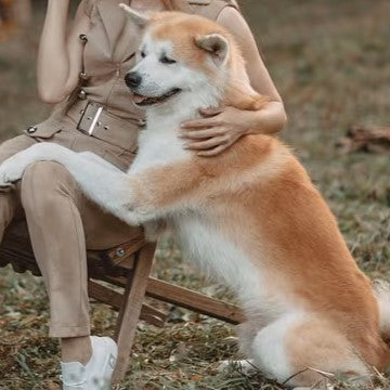 愛犬との憧れの車中泊旅
