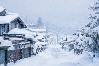静岡で雪は降る？今年の雪予想や降る時期・地域、あまり降らない理由とも解説