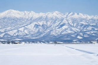 仙台はどれくらい雪が積もる？いつからいつまで降るのか雪予報まとめ