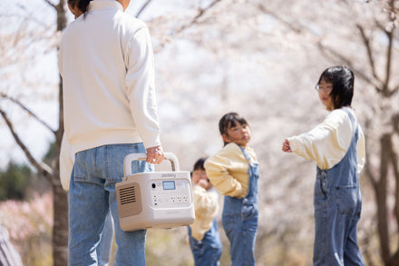 【2026年】東京の桜開花予想｜お花見の名所15選と快適に楽しむコツ