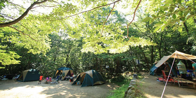 大阪でおすすめの穴場キャンプ場14選！日帰り・コテージ付き・無料も厳選