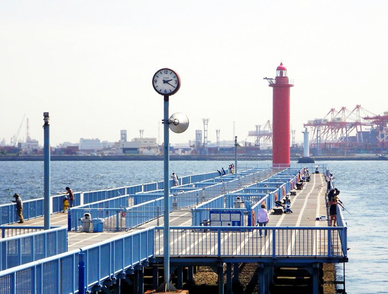 【横浜市内】初心者におすすめの釣り場17選！無料・穴場・魚種別も厳選