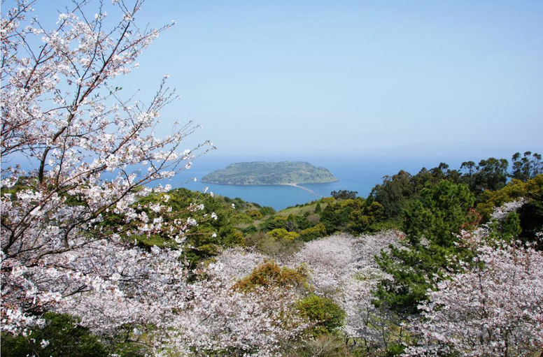 【2026年】鹿児島の花見スポット13選！バーベキュー可・子連れ向けも厳選