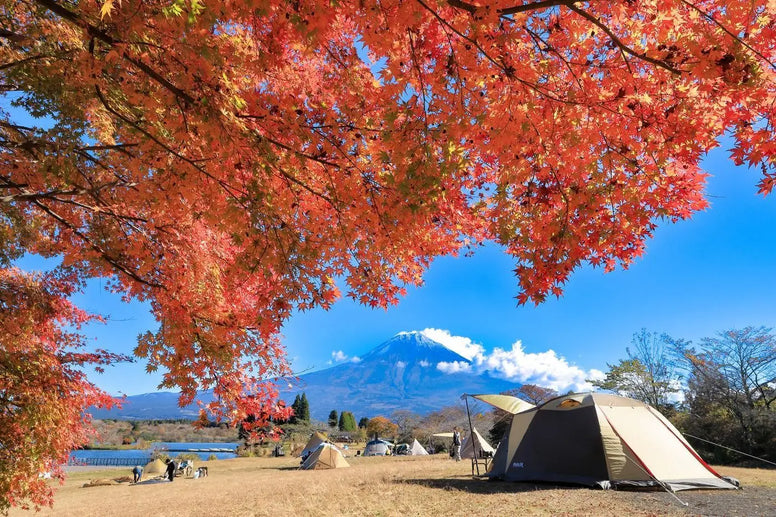 【静岡】紅葉ドライブおすすめ12選！穴場・名所・伊豆エリア別に厳選