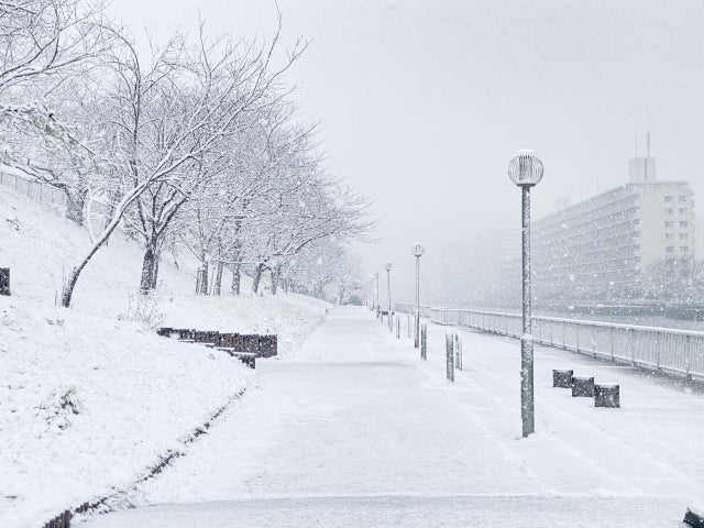 今年の関東はいつから雪が降る？2025〜2026年の初雪時期・降雪予想