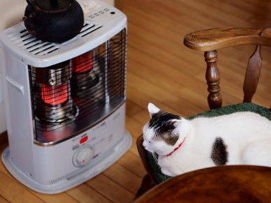 冬に猫が快適に過ごせる室温は？夜暖房なしは大丈夫？停電対策も紹介