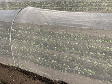 防風ネットによる台風対策効果は？選び方と一緒に実施したい対策と処置