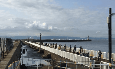 【関西】冬に堤防・船・濁流釣りができるスポット9選！釣れる魚も紹介