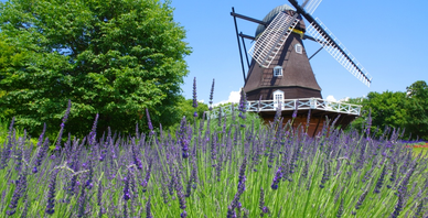 【関東】お盆でもすいているところ10選！夏休みの混雑を避ける方法も解説