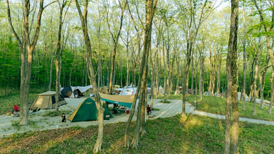 2024年のシルバーウィークはいつ？おすすめの過ごし方や混雑予想も解説