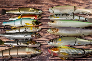 12月の釣りで狙える魚8選！釣り方のコツや冬釣りに役立つアイテムを紹介