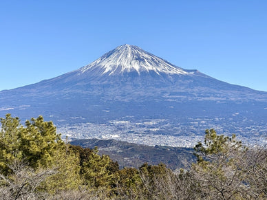 富士山噴火の予兆は？噴火に備えて今からできる防災対策を解説