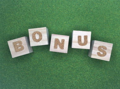 [2024年]ボーナスの面白い使い道｜貯蓄や返済だけではつまらない！と感じるならこれ