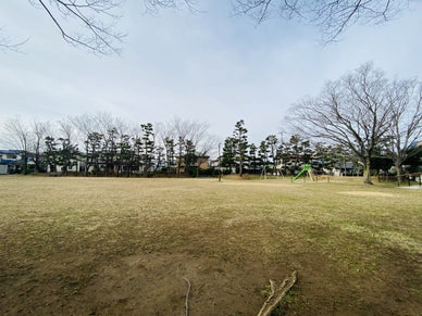 防災公園ってどんな公園？定義・種類・設備や全国の主要な防災公園を解説
