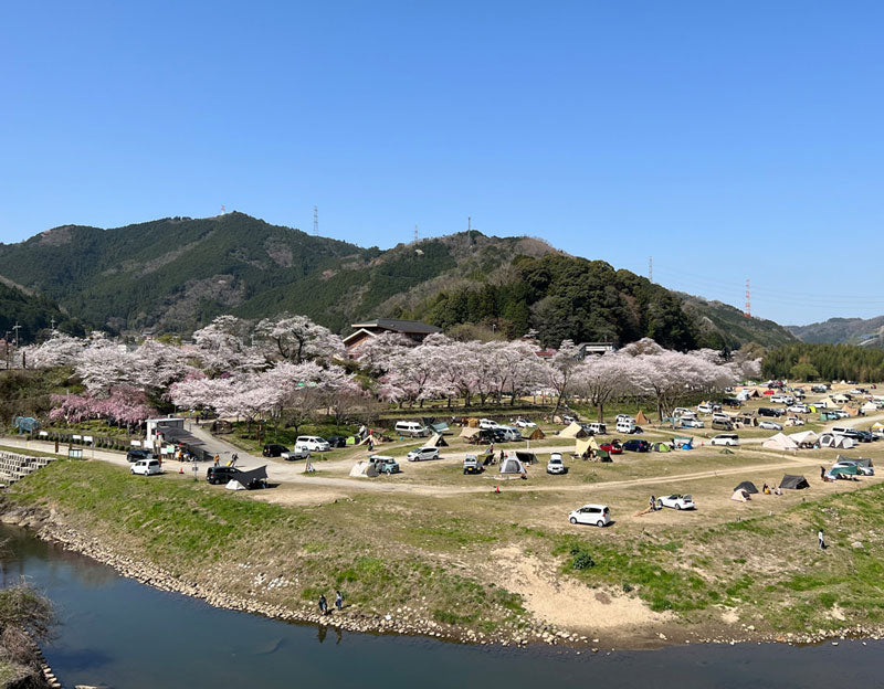 キャンプ場