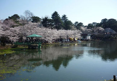 埼玉をドライブスポット