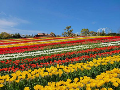 関西お出かけスポット