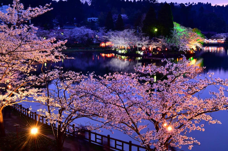 【2025年】千葉県の桜祭り10選！屋台・フリーマーケットありを厳選