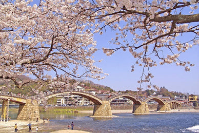 札幌でおすすめの花見スポット16選！屋台あり・バーベキュー可・穴場も厳選