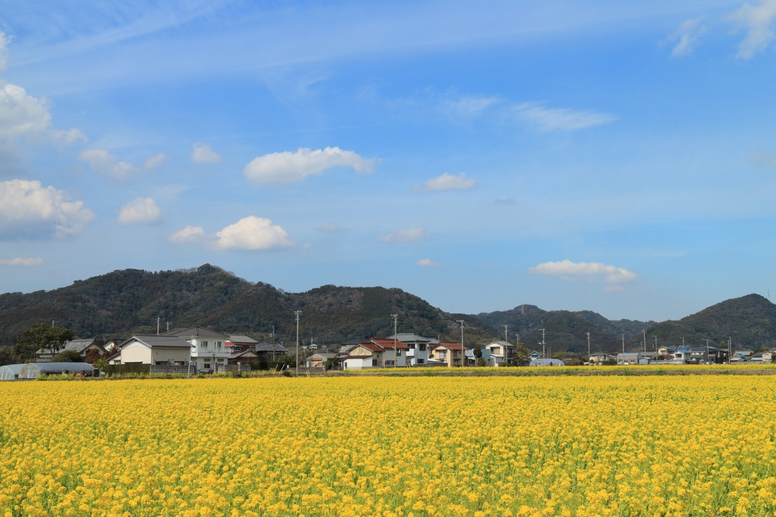 冬のドライブ関東編！女子旅や日帰りにもおすすめのスポット10選