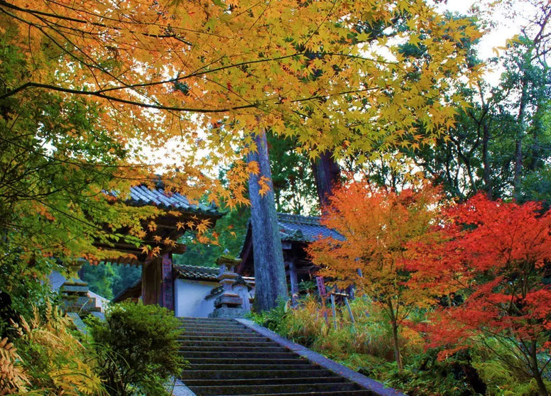【茨城】紅葉ドライブおすすめ12選！穴場・絶景・公園の見頃も紹介
