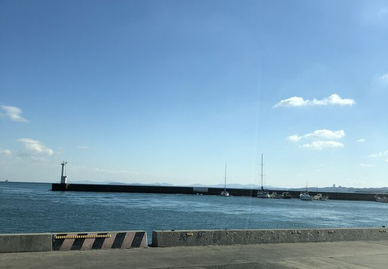 8月の堤防・船釣りで釣れる魚6選！全国の釣りスポットや必需品も紹介