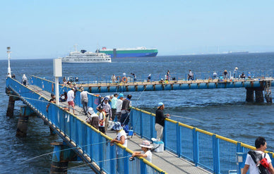 10月の船・堤防釣りで狙える魚種7選！釣果を上げるポイントや釣り場も紹介