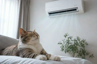 猫の熱中症の症状とは？不調で隠れやすい猫だからこそ知っておきたいサイン