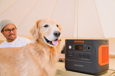 愛犬の防災グッズリスト10選！起こりうるトラブルや災害対策も解説