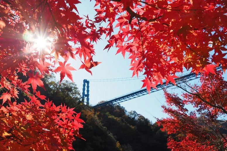 【関東】紅葉ドライブスポットおすすめ12選！穴場・日帰り・温泉別に厳選