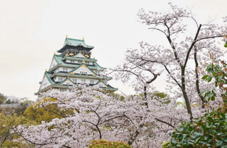 大阪で花見をするなら見頃はいつ？2026年桜開花予想と花見の名所10選