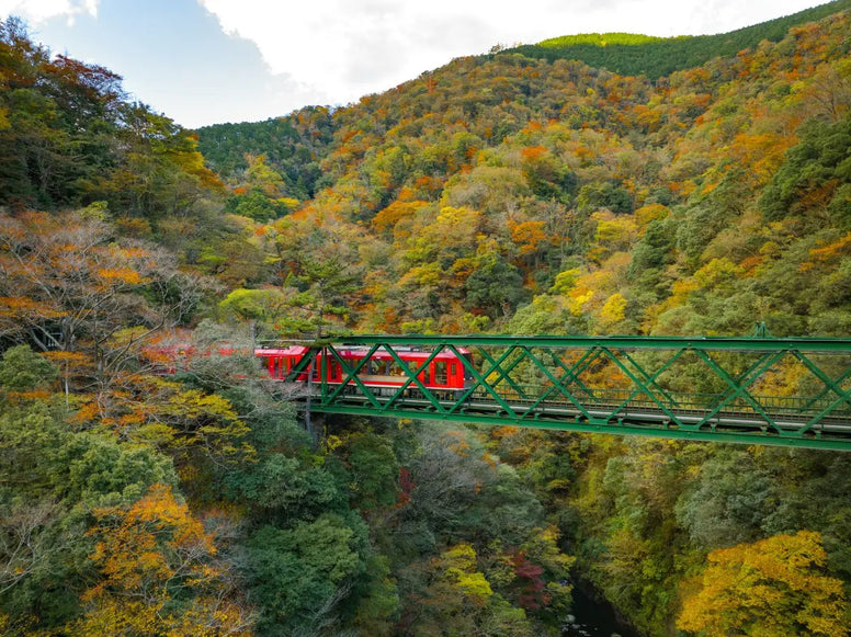 箱根の紅葉の混雑は平日の早朝が狙い目｜見頃時期と回避のコツを解説