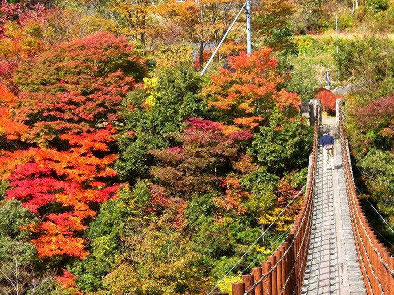 【九州】紅葉ドライブおすすめ12選！穴場・名所・温泉の見頃も紹介