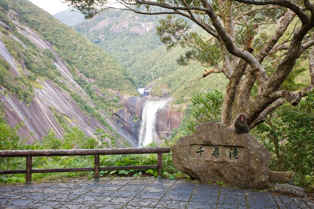屋久島の台風シーズンはいつ？対策方法や便利グッズも紹介！
