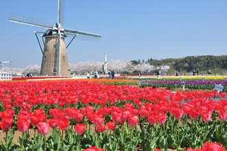 【関東】子連れ向けの日帰りドライブスポット16選！春夏秋冬別・無料も厳選