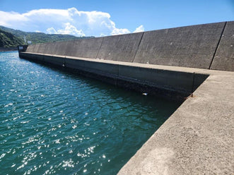 和歌山でおすすめの釣りスポット18選！堤防釣り・穴釣り可の漁港も厳選