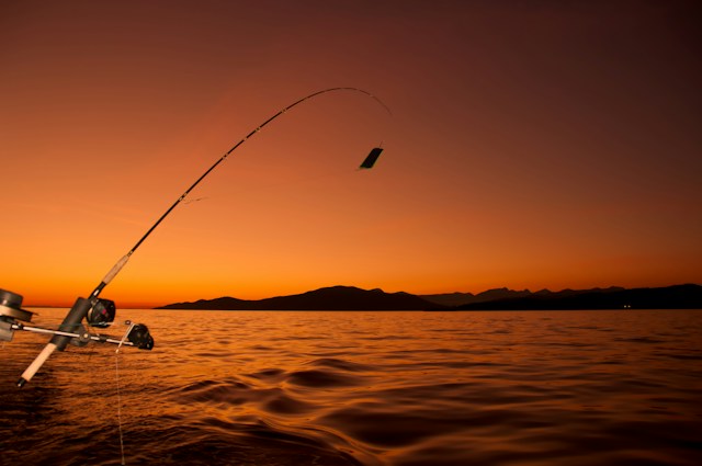2月の釣りで狙うべき魚8選！スポット別におすすめを紹介