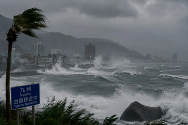 九州で台風が多い時期はいつ？過去の被害と事前にできる対策も解説
