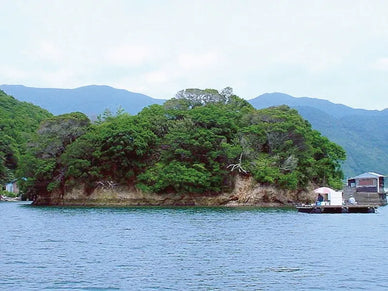 無人島で暮らすのは可能？サバイバルに興味のある方におすすめの無人島生活