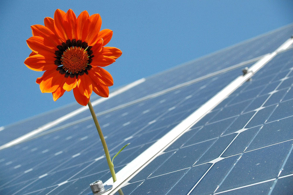 太陽光発電は儲かる？投資に向いている人の特徴や失敗しない方法を解説！