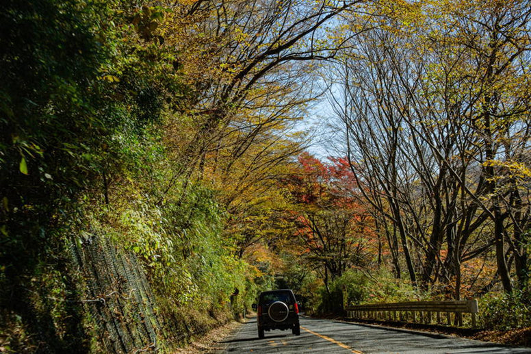 車窓から絶景を満喫！紅葉を楽しめるドライブスポット12選｜沖縄の紅葉事情も一緒に紹介