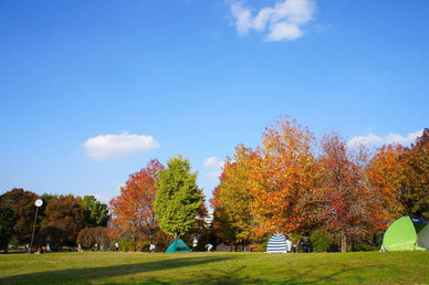 【関東編】日帰り紅葉スポット11選！紅葉狩り向けの日帰りできるキャンプ場も紹介