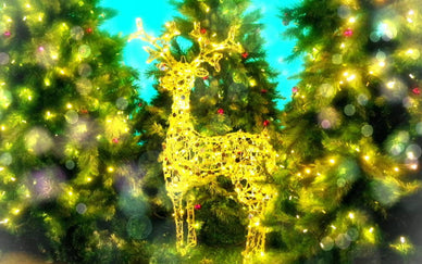 【2023年】クリスマスのおすすめスポット10選！人気の冬キャンプ場も紹介