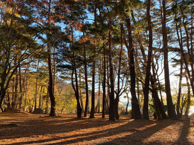 【全国】12月に見頃を迎える紅葉スポット16選！寒さ対策アイテムも紹介