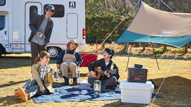 オートサイトとは？メリット・デメリットやフリーサイトとの違いを解説