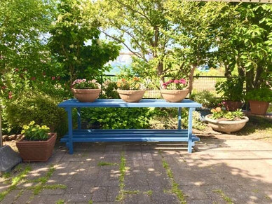 DIYで叶える夢の庭作り！初心者でもできる庭造りのコツやアイデア