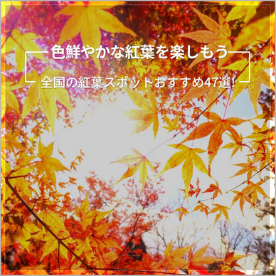 全国の紅葉スポットおすすめ47選!【2023年度版】楽しさ倍増アイテム5選