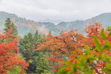 電車＆車で行く関西圏の紅葉が奇麗な穴場スポット17選｜車中泊旅でのおすすめもご紹介