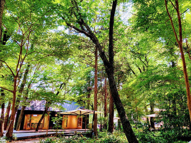 二拠点生活とは？補助金は出る？メリット・デメリットや適した場所を解説